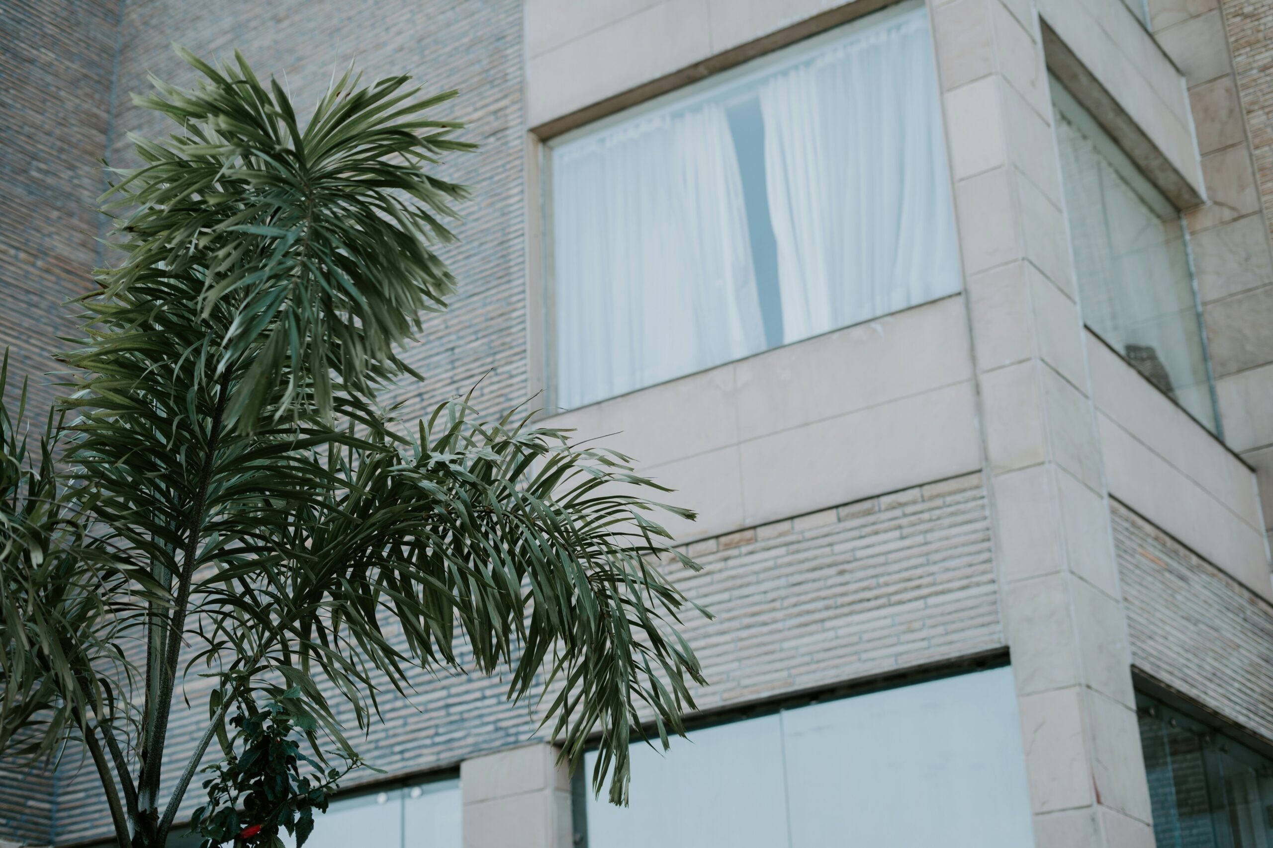 vidit goswami lung2q fq e unsplash